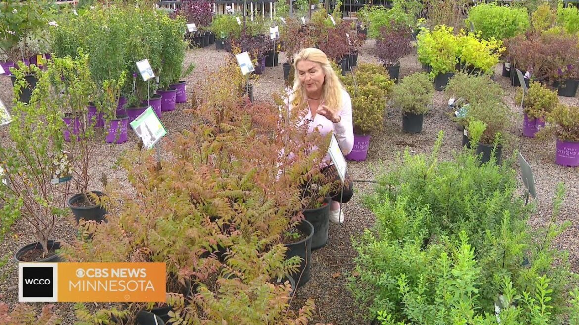 There's still time to add trees and shrubs to your garden