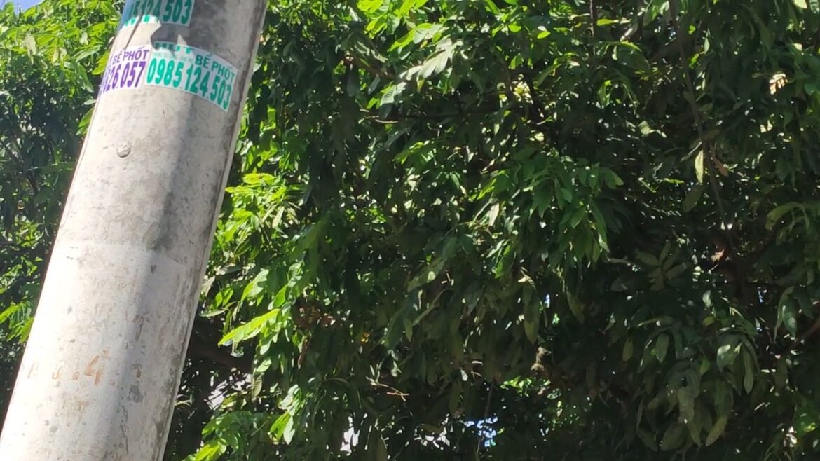 Gardening for Health: The Clean Way to a Vibrant Life