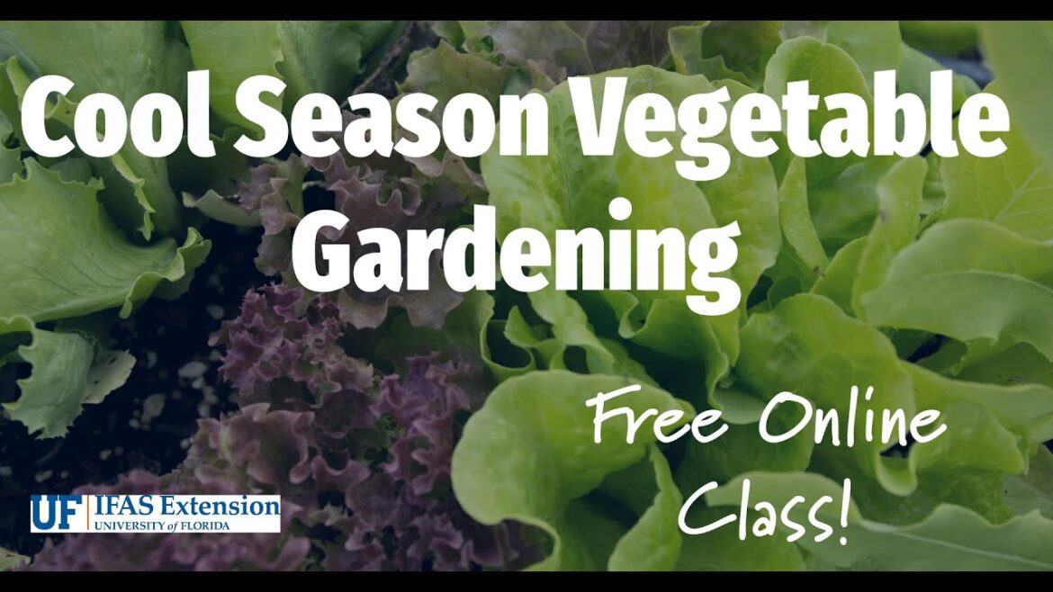 "Cool Season Vegetable Gardening in Central Florida - Tips & Techniques"