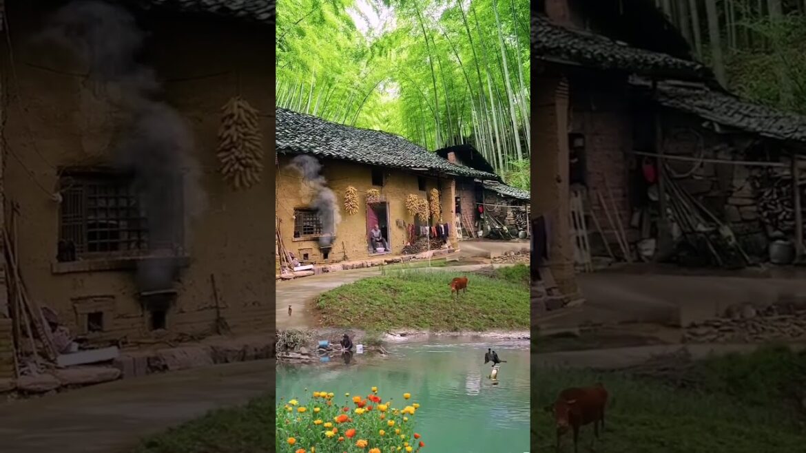 Beautiful Nature Garden Plan Natural life Style Beautiful landscapes