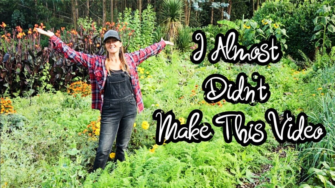Vegetables Beds in Autumn (Tour) Wild Permaculture Kitchen Garden Packed with Roots, Tubers & Beans Vegetables Beds in Autumn (Tour) Wild Permaculture Kitchen Garden Packed with Roots, Tubers & Beans
