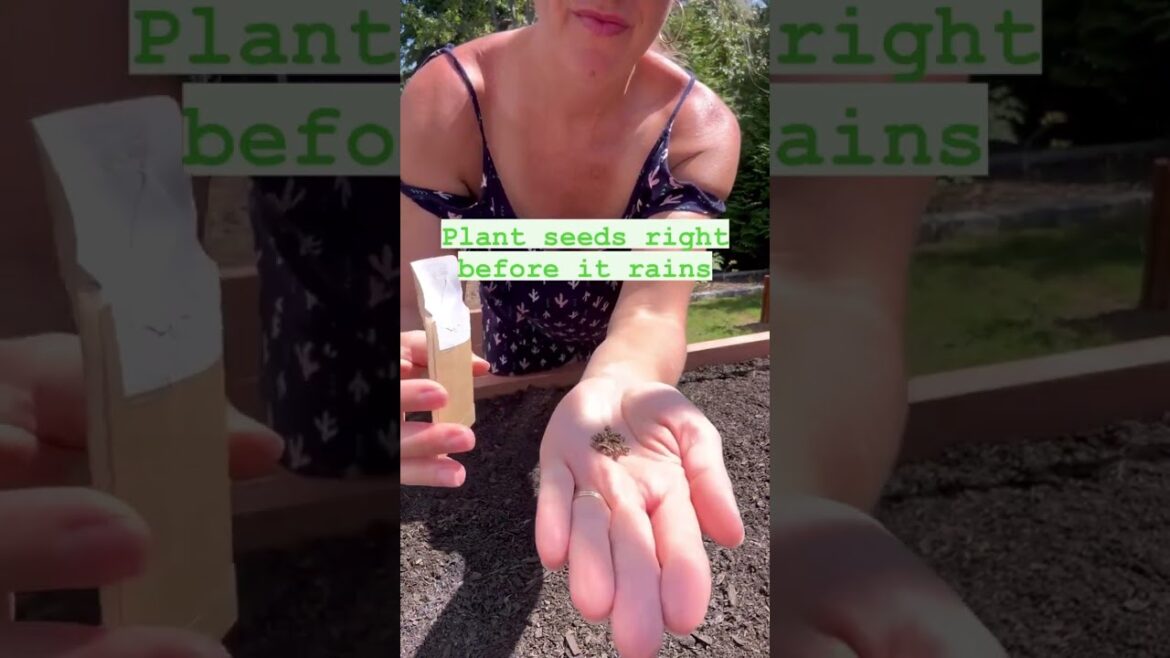 Home Gardening Tips – Master The Weather Home Gardening Tips - Master The Weather