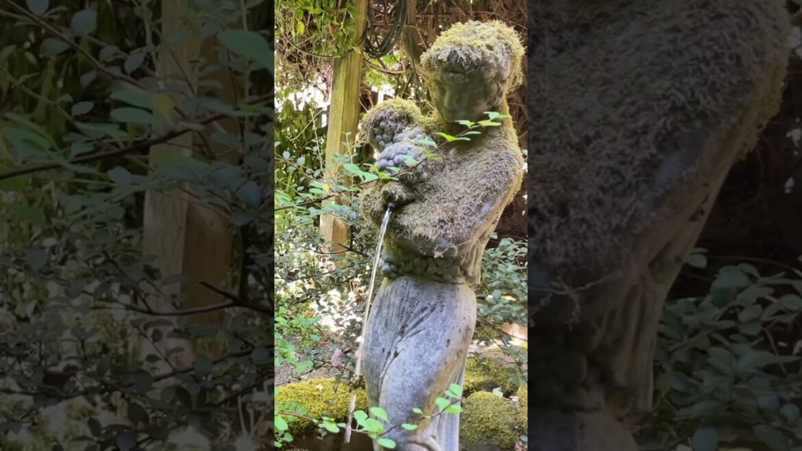 Garden Design Ideas for Backyards |  SO MUCH INSPIRATION AROUND US! #shorts #short