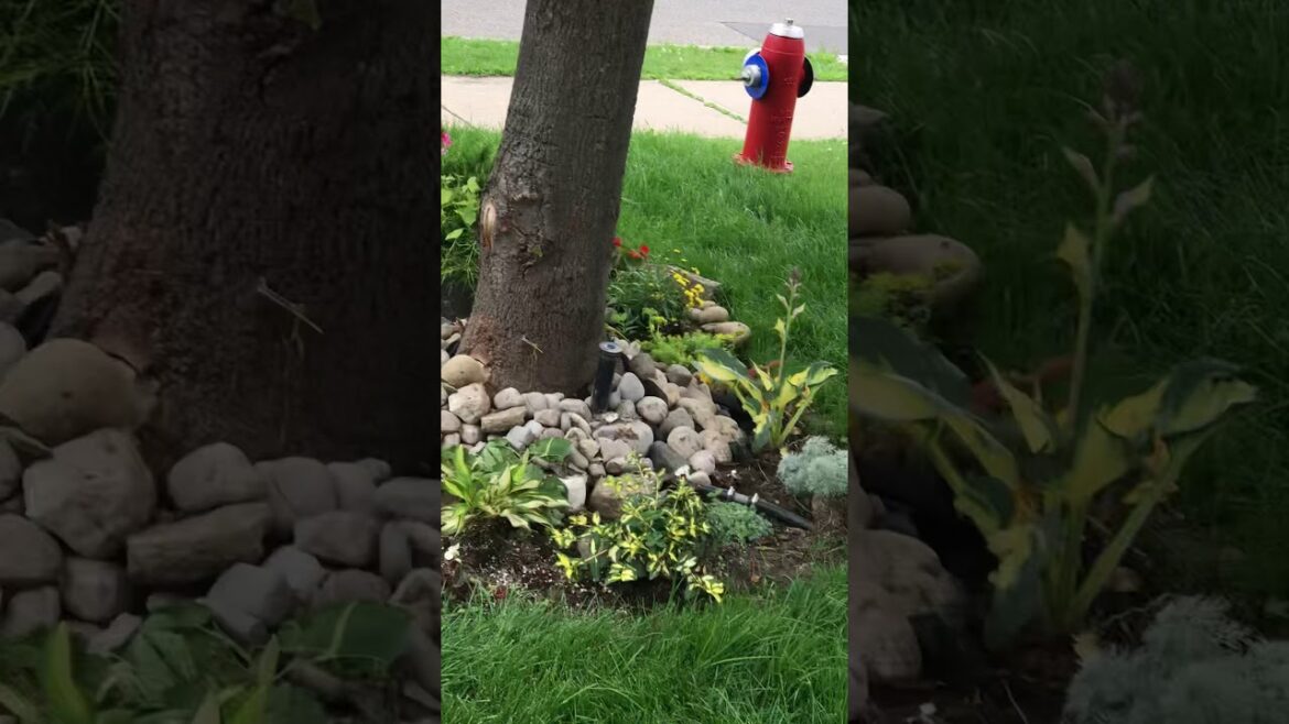 Small front yard Garden