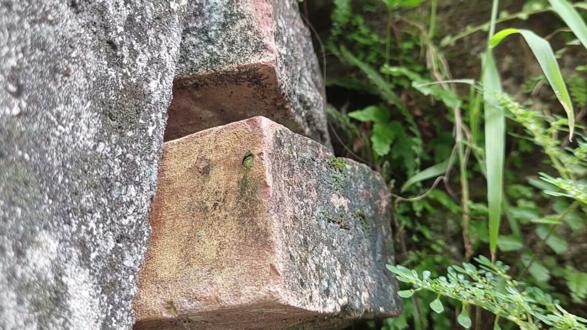 Balcony Gardening the Clean Way: Urban Oases