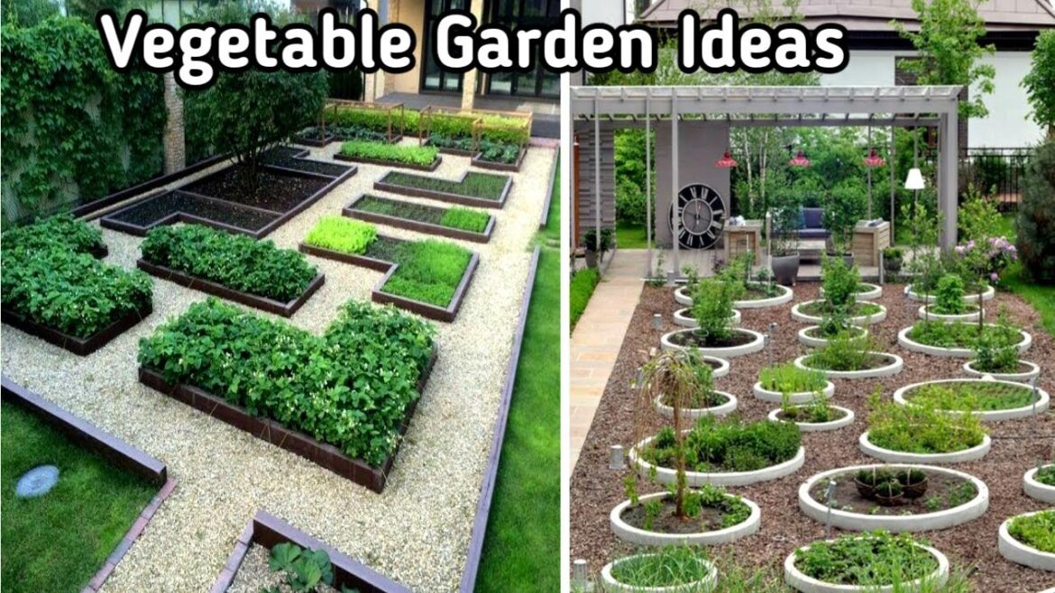 Vegetable Gardening Ideas For Home/Gardening Ideas For Home/Homemade Garden Ideas/Vegetable Garden Vegetable Gardening Ideas For Home/Gardening Ideas For Home/Homemade Garden Ideas/Vegetable Garden