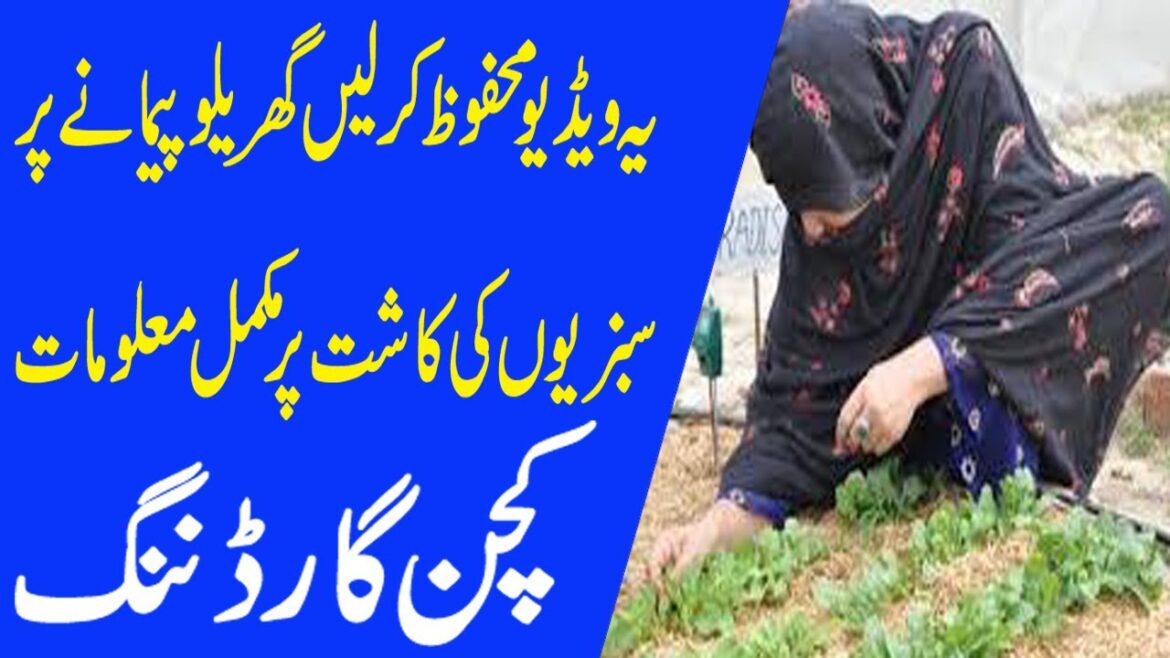 Kitchen Garden Tips, Ideas, Benefits | Rooftop Vegetable Gardening | گھریلو پیمانے پر سبزیات کی کاشت Kitchen Garden Tips, Ideas, Benefits | Rooftop Vegetable Gardening | گھریلو پیمانے پر سبزیات کی کاشت