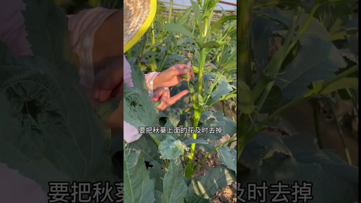 Beautiful Nature Garden Plan Natural life Style Beautiful landscapes