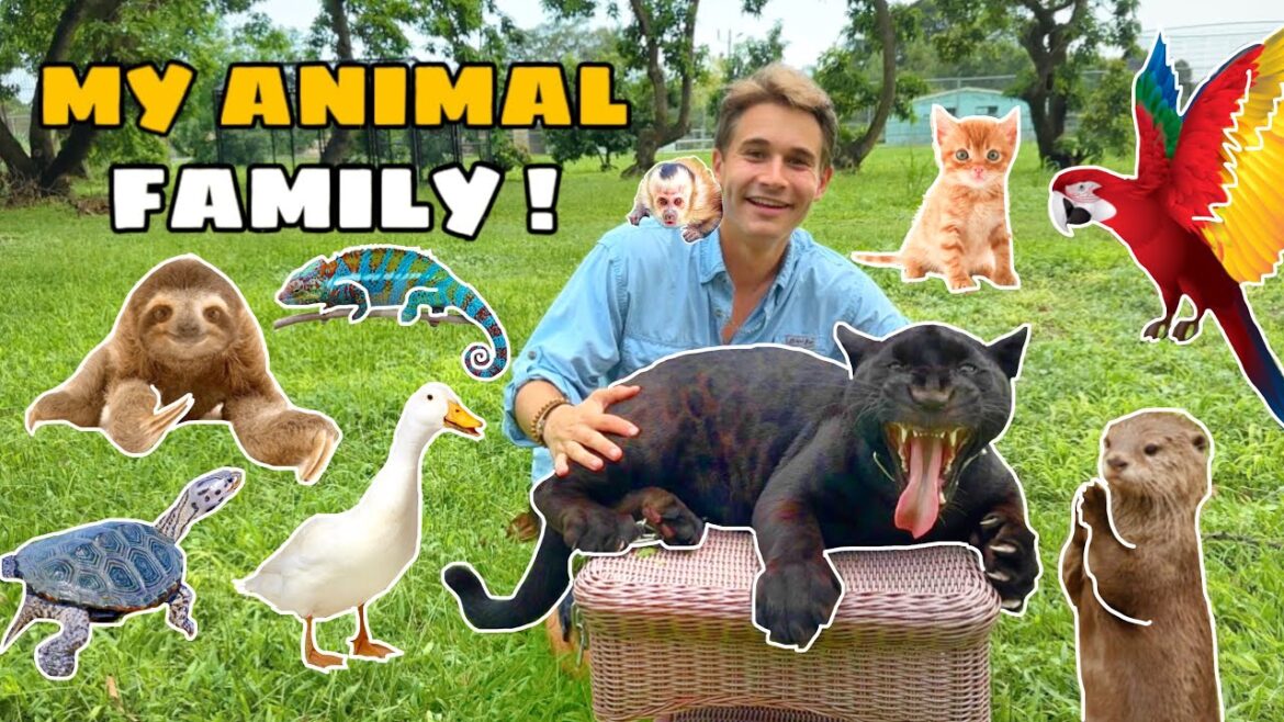 MEET MY ANIMAL FAMILY ! FULL ZOO TOUR !