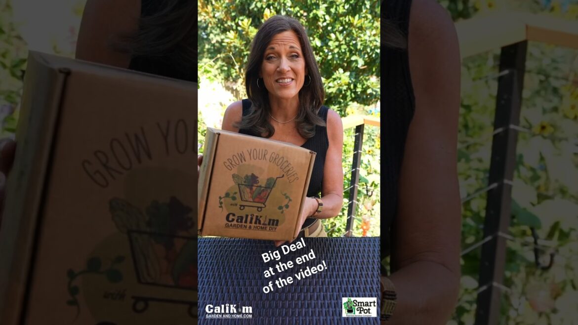 We Did A Thing for October-Breast Cancer Awareness