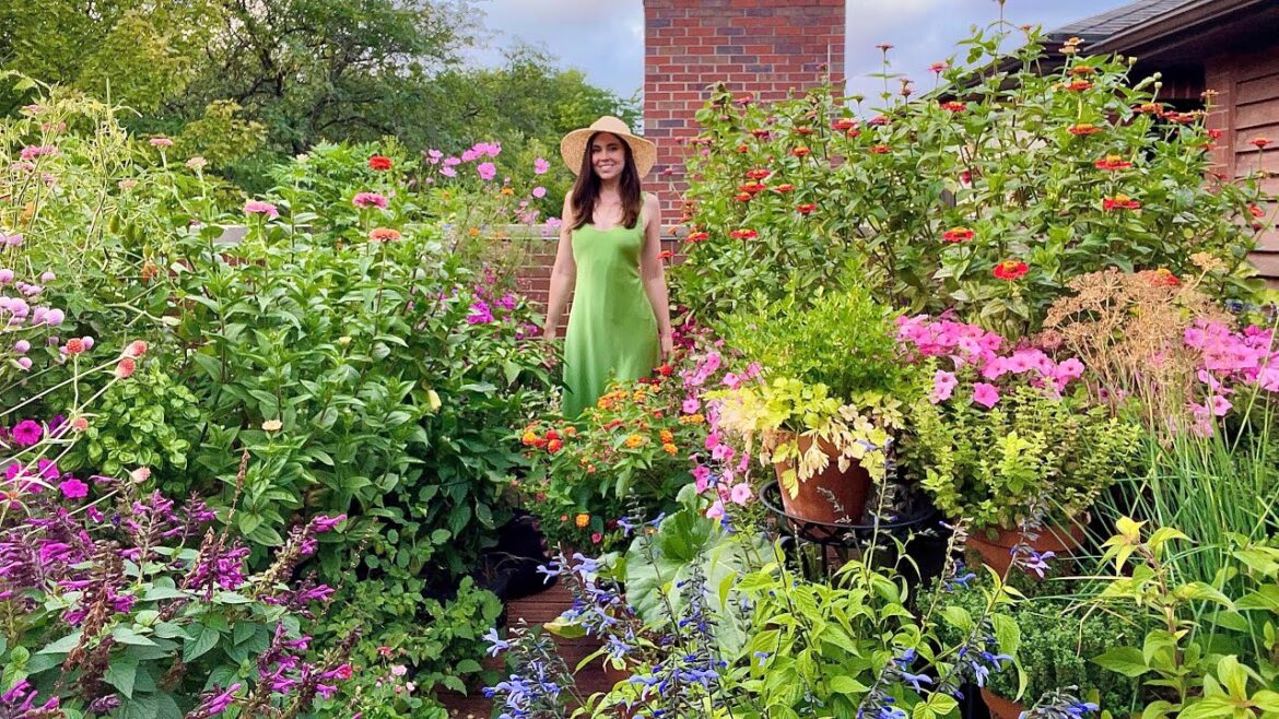 September Container Garden Tour! | Rooftop Balcony Gardening