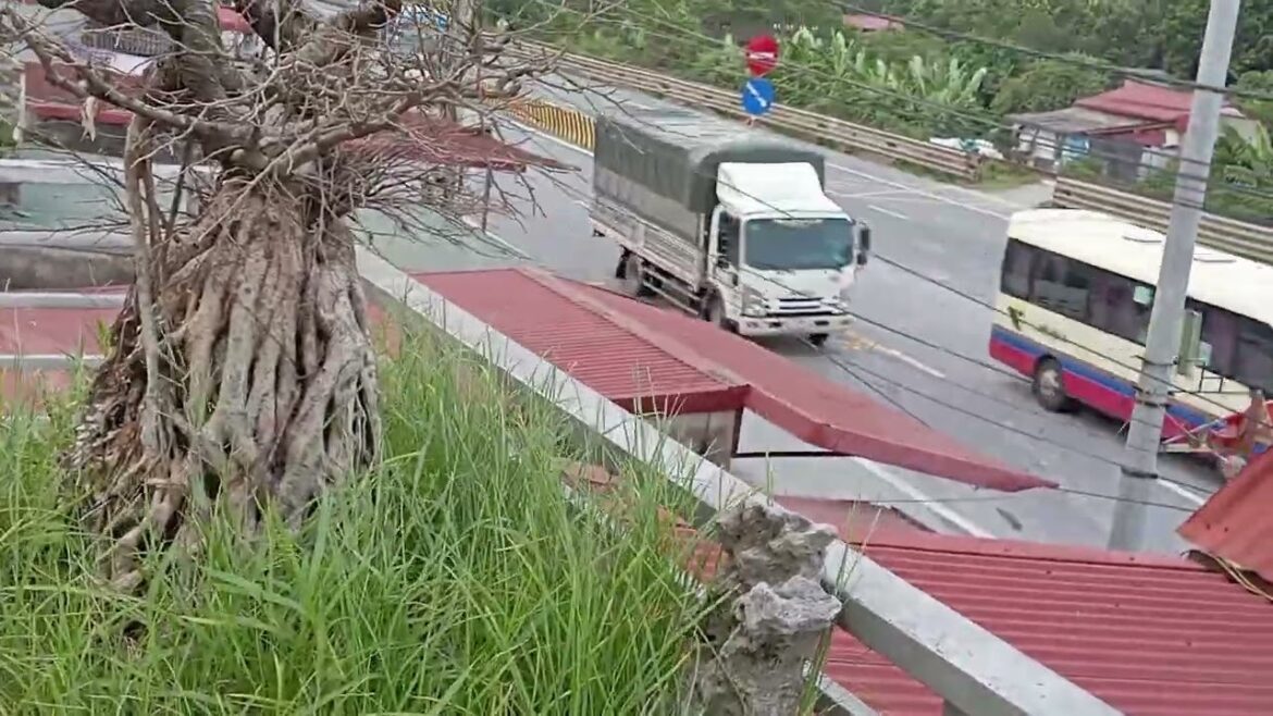 Waterwise Gardening: Sustainable Clean Garden Practices