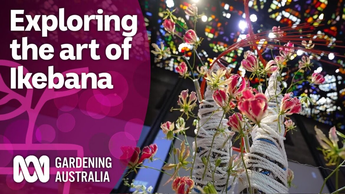 A floral designer practicing the art of Ikebana | Discovery | Gardening Australia