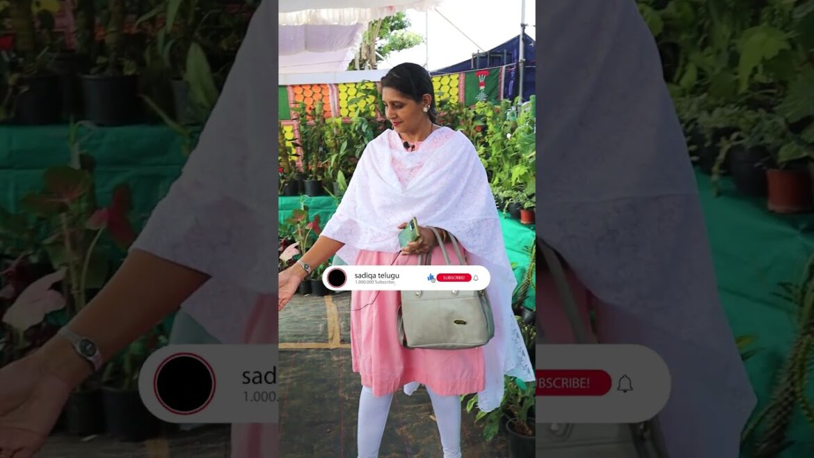 Nursery Mela Hyderabad 2023 || horticulture expo #shorts || nursery mela 2023