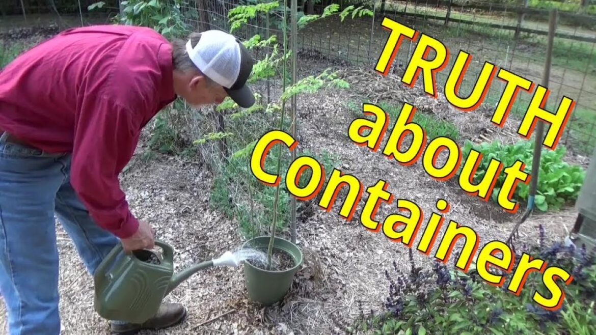 Truth About Container Gardens 9-13-2023