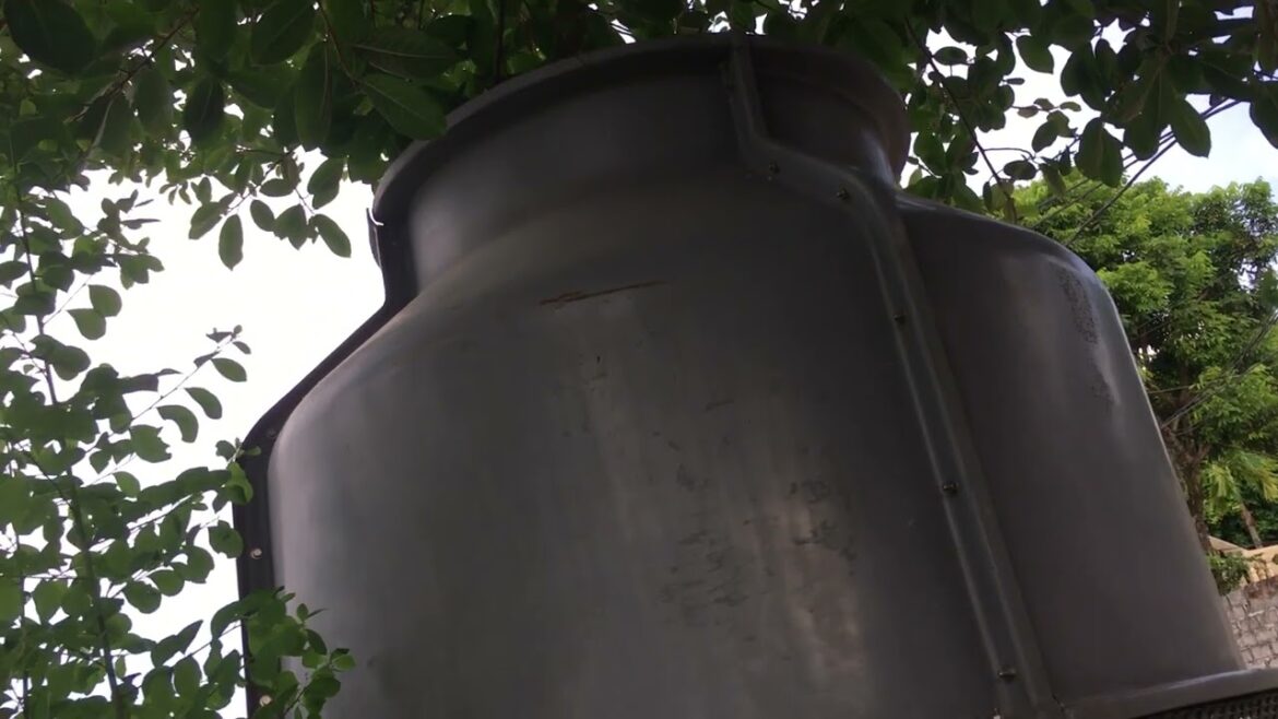 Hydroponics and Clean Gardening: Soil-Free Solutions