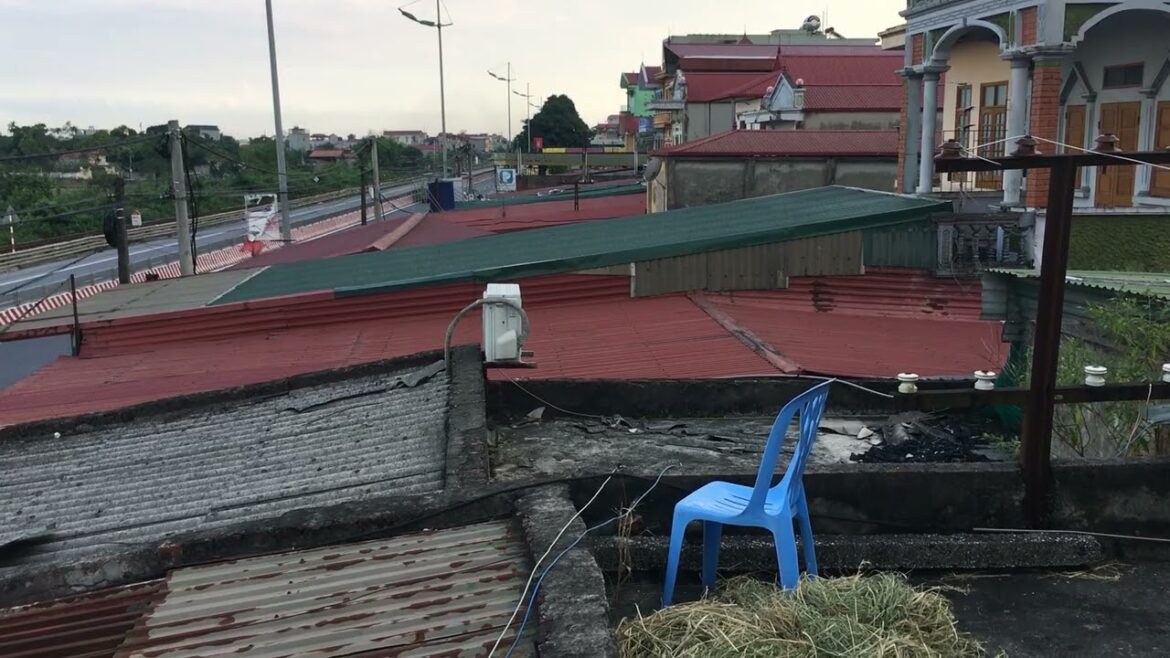 Gardening and Mindfulness: Connecting with the Present