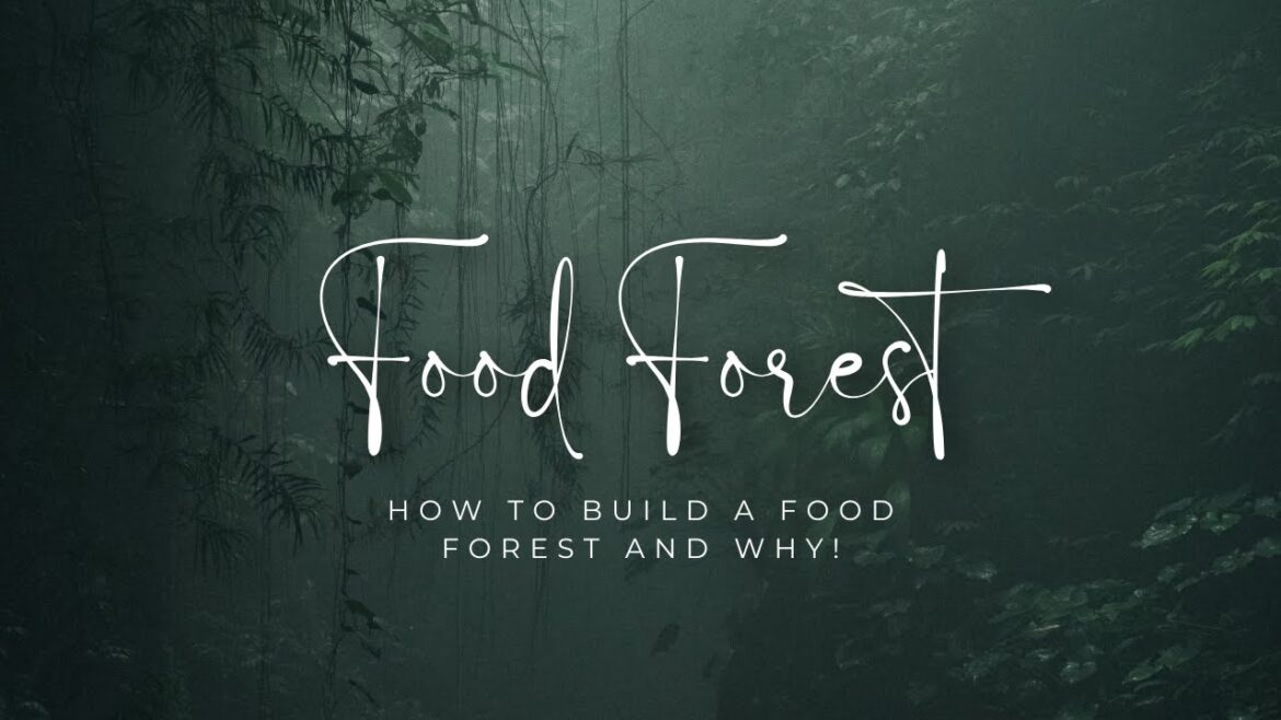 DIY Food Forest: Syntropic Techniques Simplified I 7 layers of plants