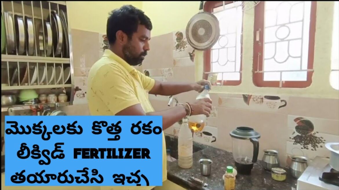 how to prepare and use mixed oil fertilizer #liquid fertilizer uses #neemoil
