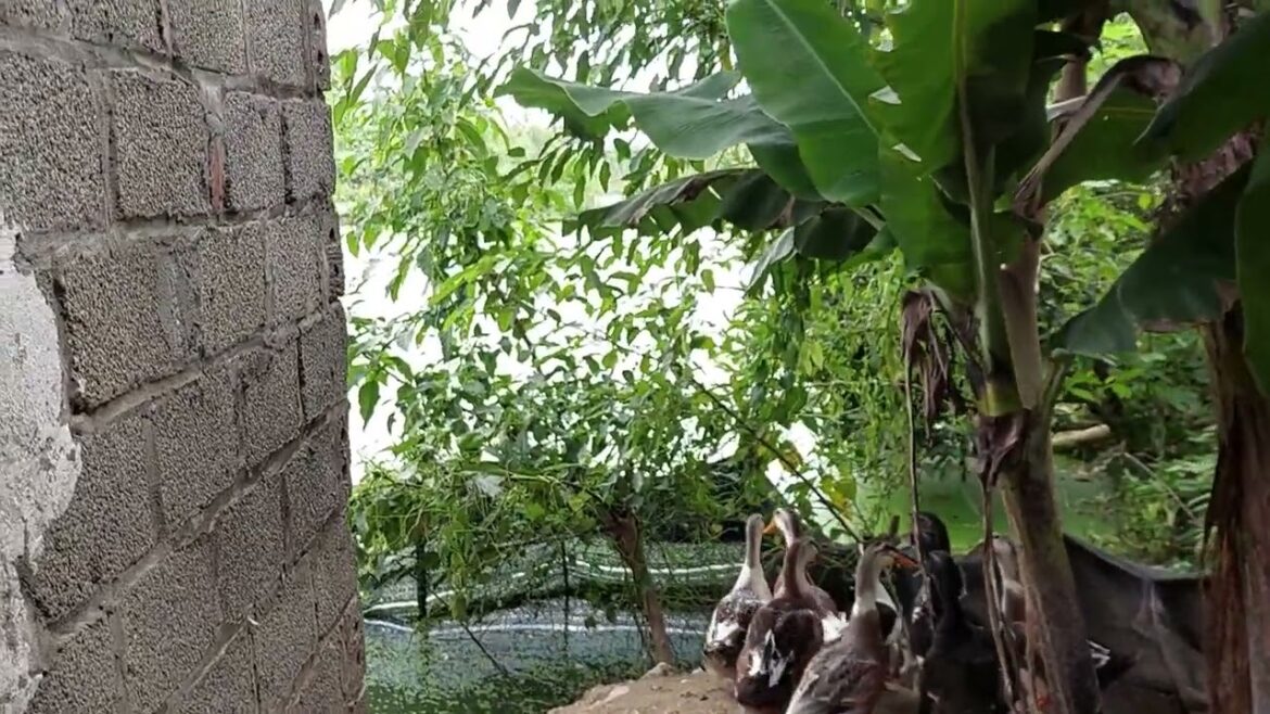 Low-Waste Gardening: Reducing Your Carbon Footprint