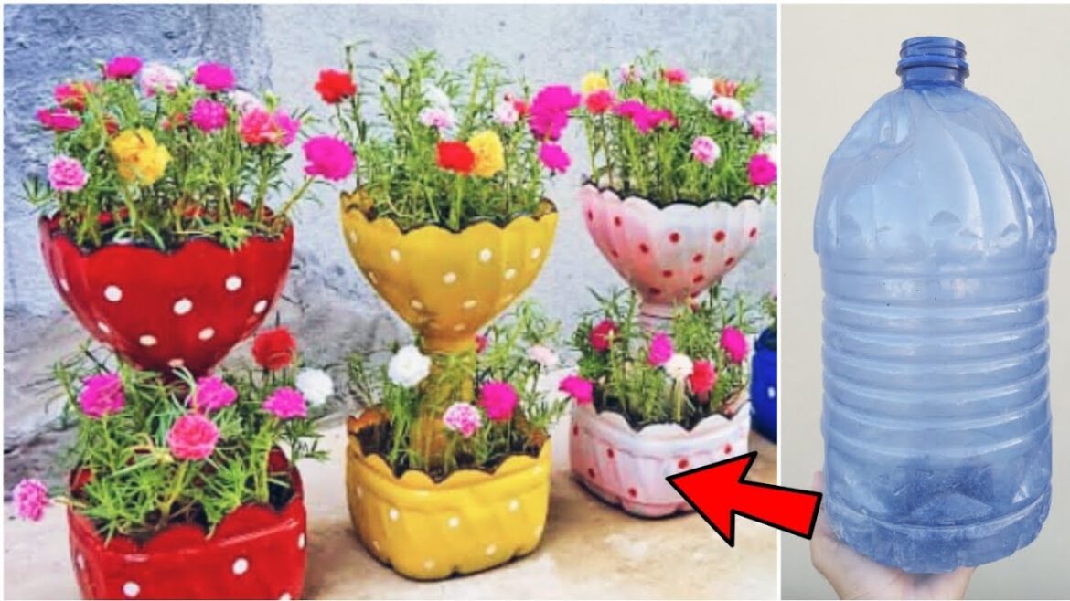How can we reuse plastic waste? – planter pot making ideas – Gardening tips How can we reuse plastic waste? - planter pot making ideas - Gardening tips