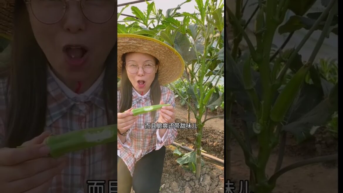 Beautiful Nature Garden Plan Natural life Style Beautiful landscapes