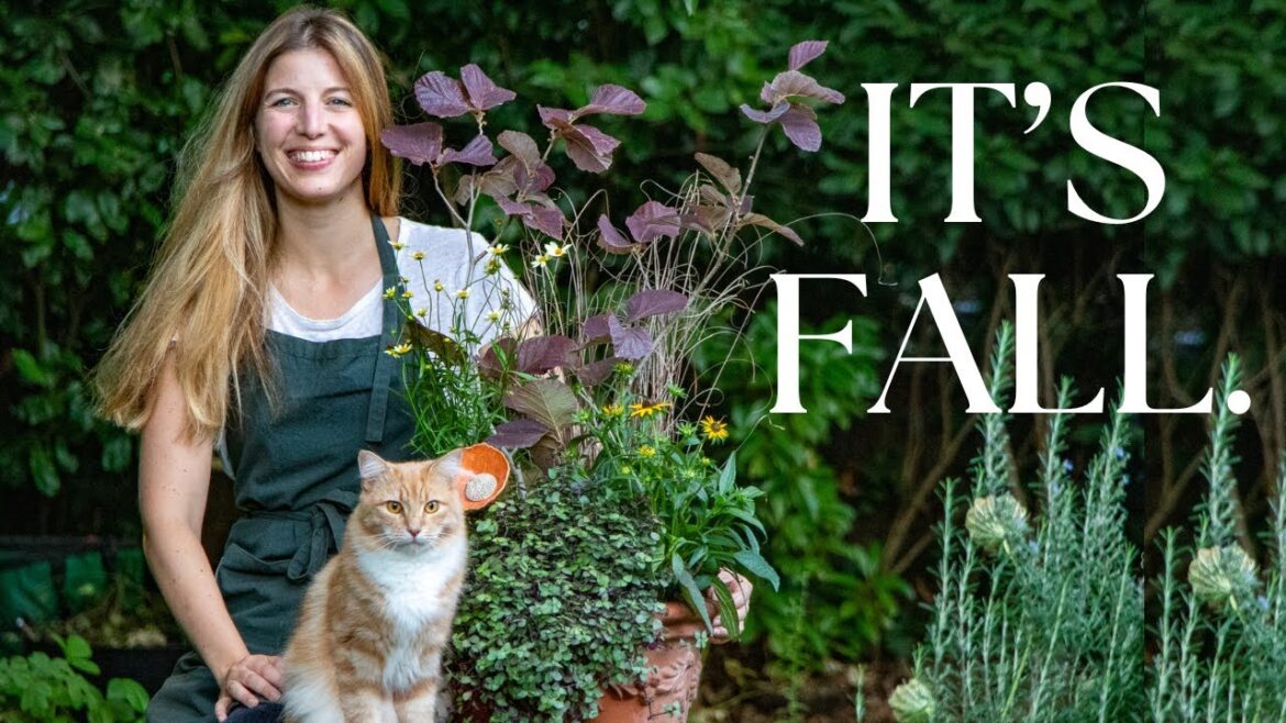 First Fall Containers (my best yet 😱🤎) + Mini Tour *My Cottage Garden in Late Summer*