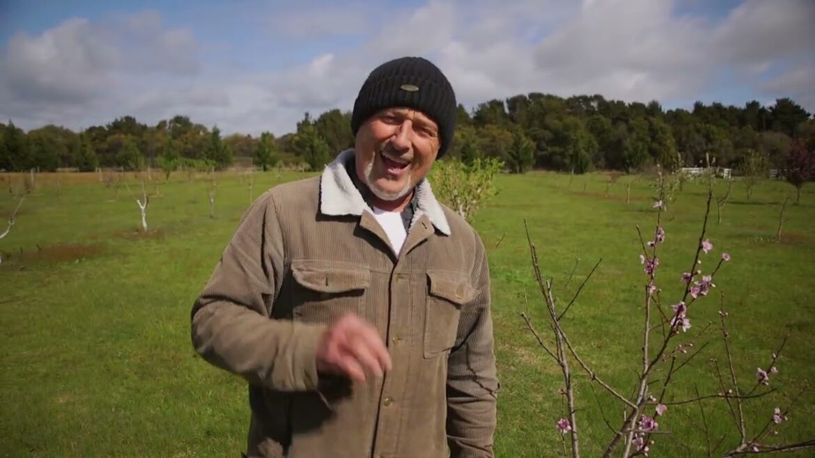 Tips on Protecting Your Fruit Trees From Pests and Diseases