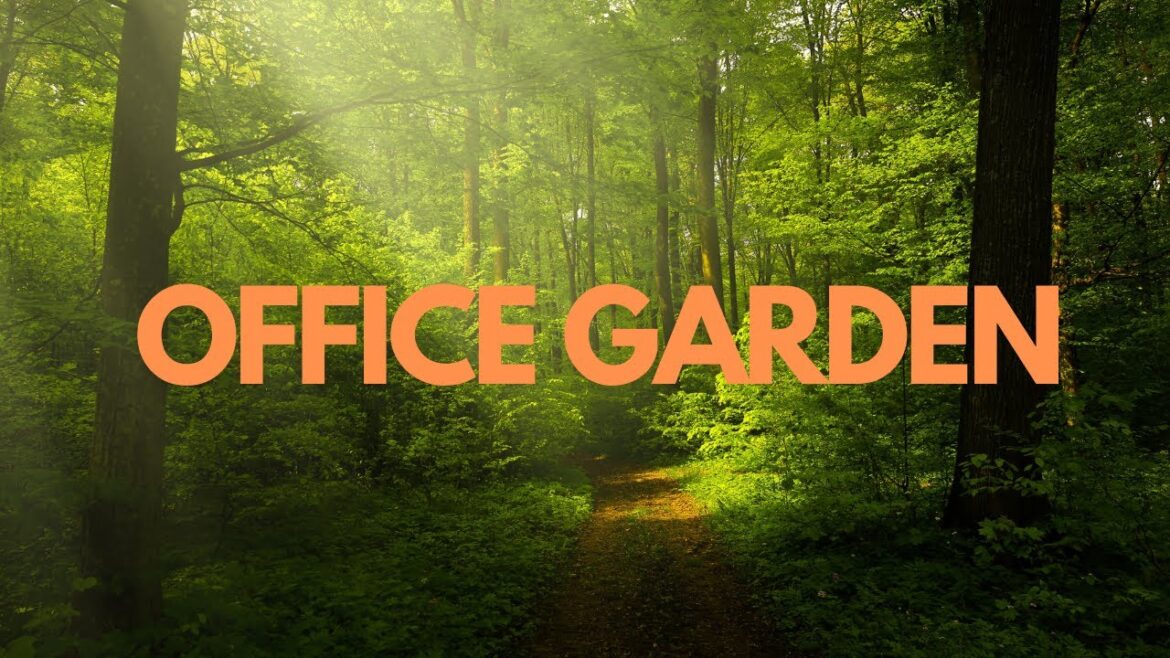 Beauty Office Garden | Free Friday New Blog Video | Office Garden | gardening future Bangladesh Beauty Office Garden | Free Friday New Blog Video | Office Garden | gardening future Bangladesh