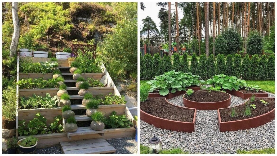 Beautiful vegetable garden ideas | Modern gardening ideas for home