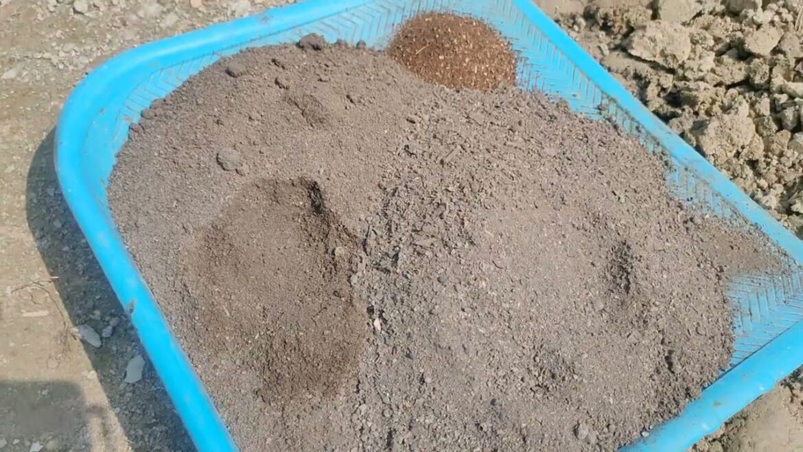 Mitti me poudha lagane se pehle kiya ye kam.. #backyard #garden