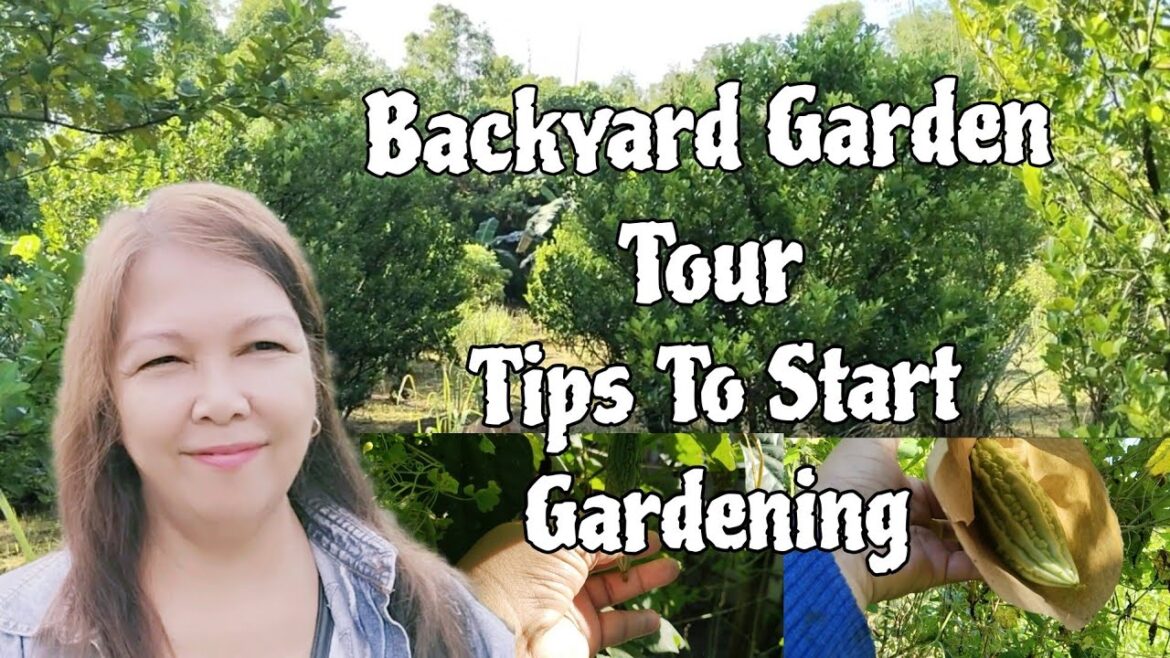 Backyard Garden Tour | Start Gardening Tips Backyard Garden Tour | Start Gardening Tips