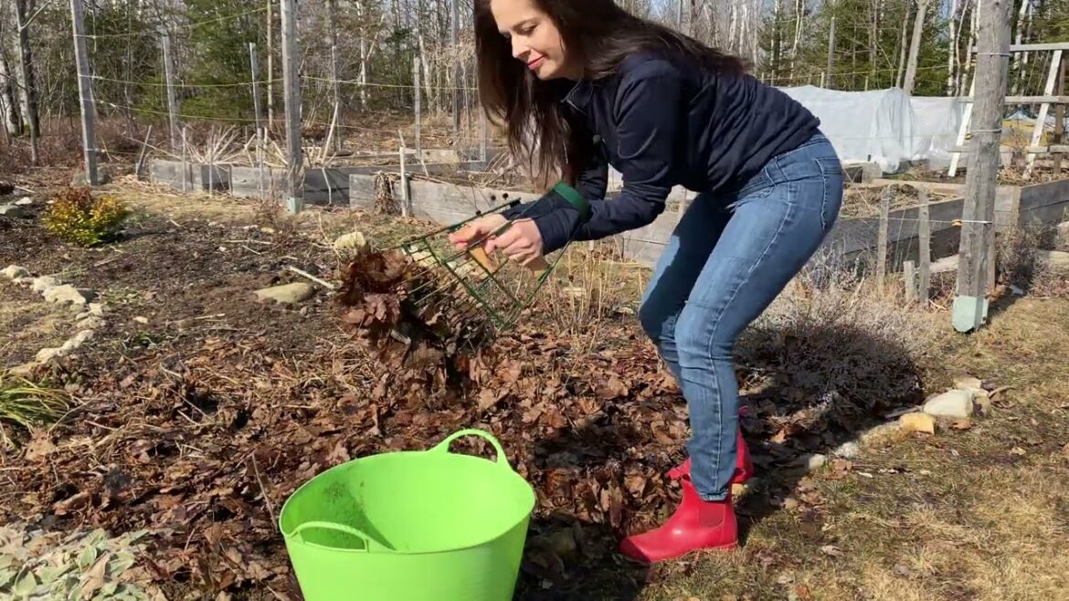 Spring Garden Clean-Up / Ménage printanier du jardin