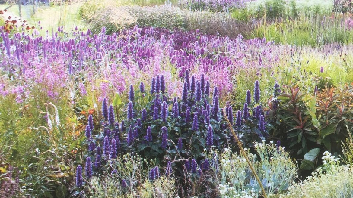 PIET OUDOLF'S COLORFUL PRAIRIE - PIET OUFOLF’S PLANTING BED - PIET OUDOLF’S GARDEN DESIGN