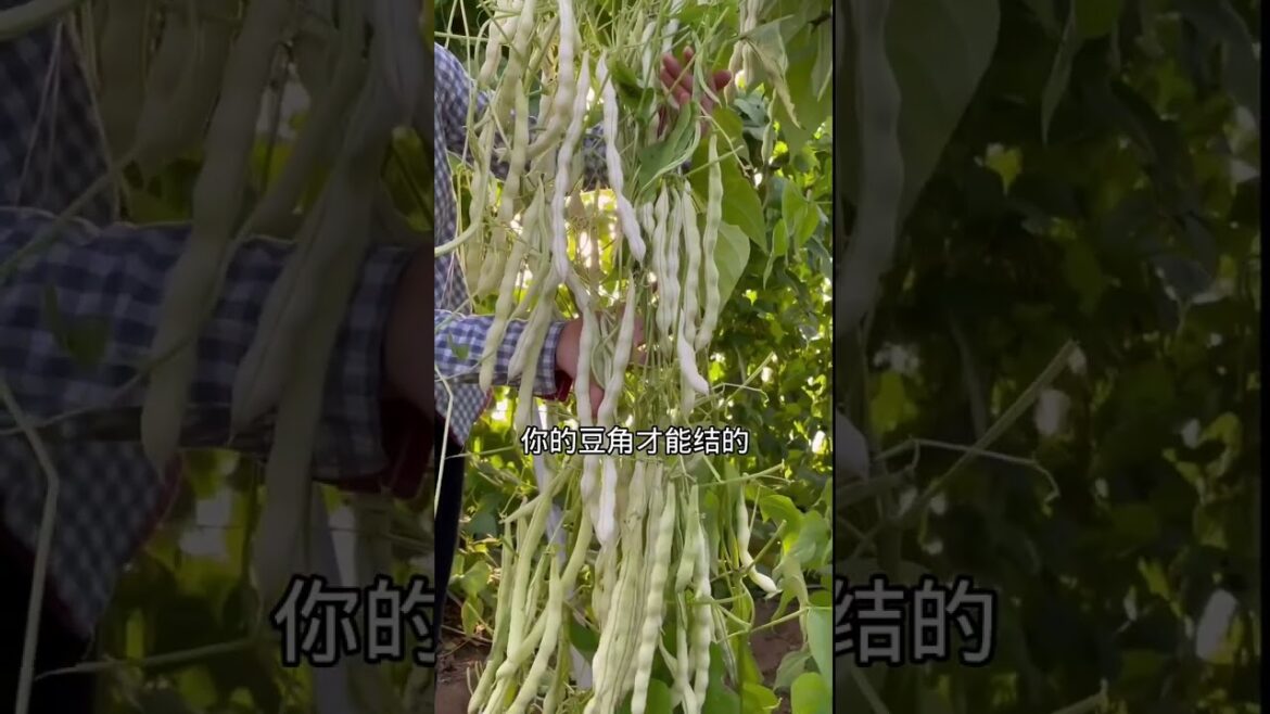 Beautiful Nature Garden Plan Natural life Style Beautiful landscapes