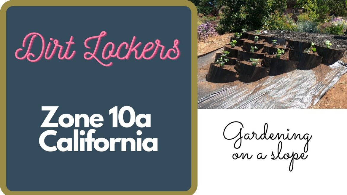 Dirt Lockers for Gardening On A Slope Zone 10a California