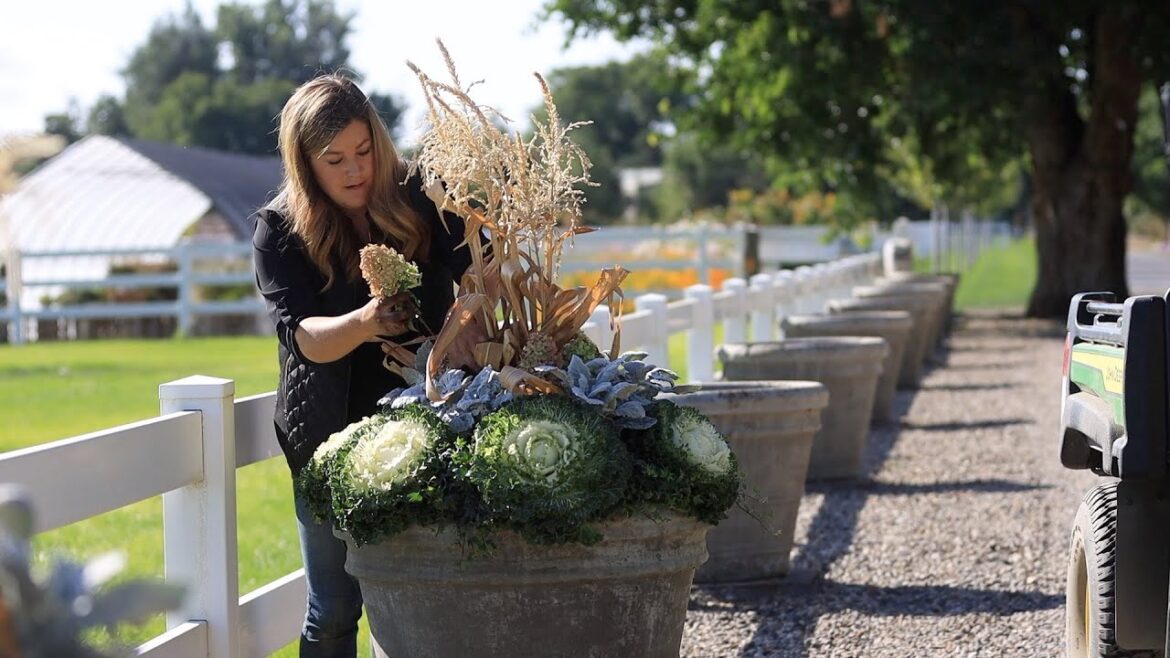 Garden Answer: Creating Tiered Fall Containers for Maximum Plant Interest! ๐๐๐ฟ // Garden Answer Creating Tiered Fall Containers for Maximum Plant Interest! ๐๐๐ฟ // Garden Answer