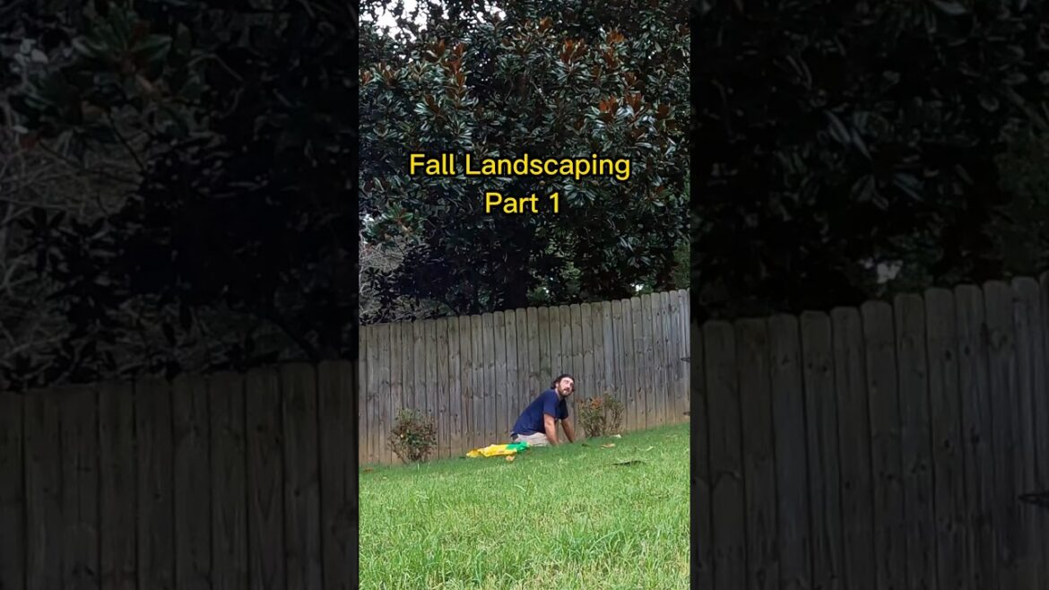 Fall yard Rose Bush Bed Makeover Part One #shorts #frontyardgarden