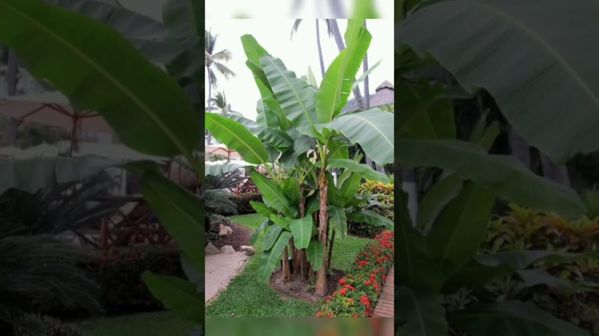 From Tiny to Terrific: 40 Genius Small Spaces Garden Design Ideas to Inspire You