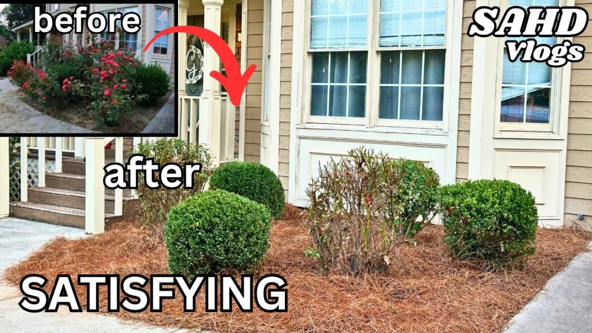 Budget-Friendly Rose/Bush Bed Makeover: Transplanting Bushes – DIY Landscaping Budget-Friendly Rose/Bush Bed Makeover: Transplanting Bushes - DIY Landscaping