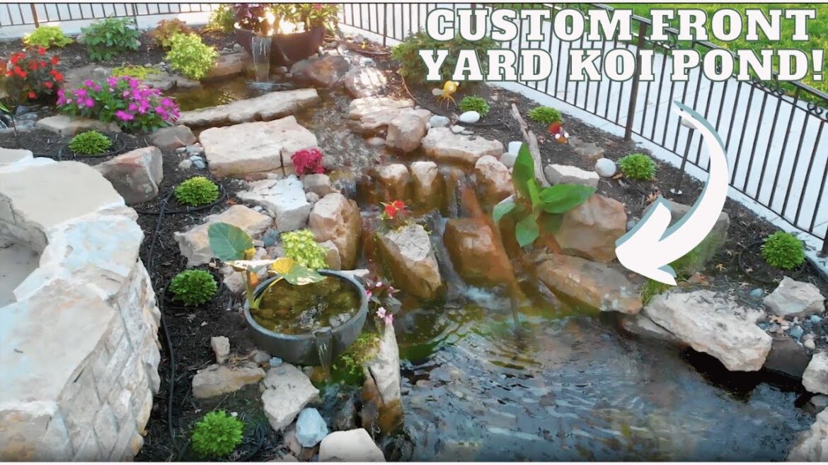 Front Yard Gets a Unique Koi Pond & Waterfalls! Front Yard Gets a Unique Koi Pond & Waterfalls!