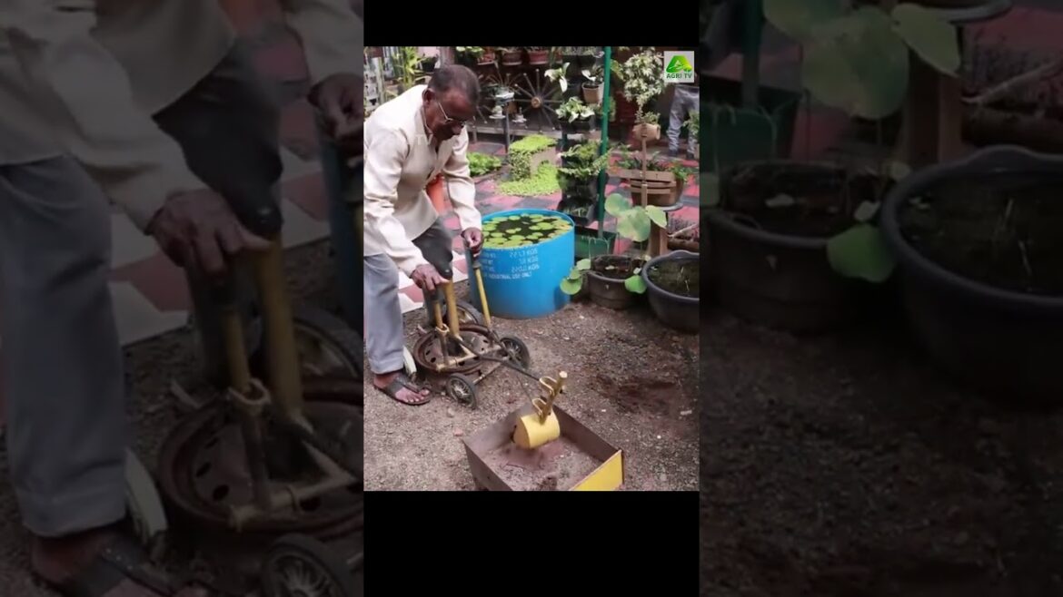 പാർക്കിനേക്കാൾ മനോഹരമായ വീട്ടുമുറ്റം!  പിതൃ സ്മരണയ്ക്ക് മകൻ ഒരുക്കിയത് ഒന്നാന്തരം പൂന്തോട്ടം പാർക്കിനേക്കാൾ മനോഹരമായ വീട്ടുമുറ്റം!  പിതൃ സ്മരണയ്ക്ക് മകൻ ഒരുക്കിയത് ഒന്നാന്തരം പൂന്തോട്ടം