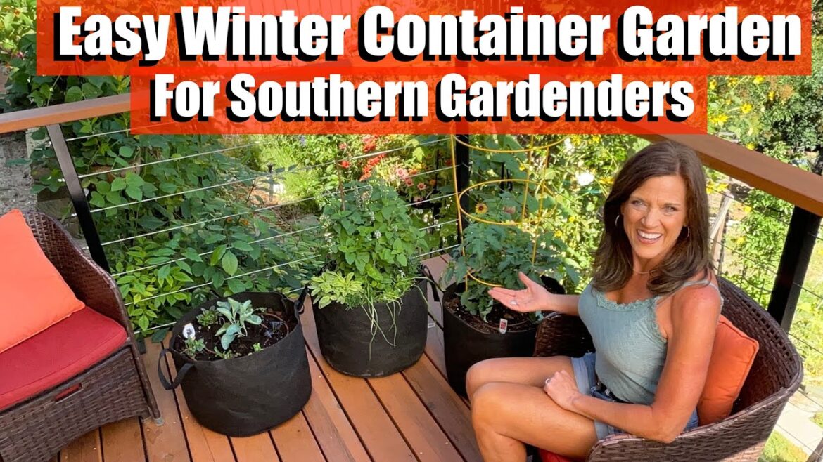 CaliKim: Easy Winter Container Garden for Southern Gardeners in Frost-Free Climates Easy Winter Container Garden for Southern Gardeners in Frost-Free Climates
