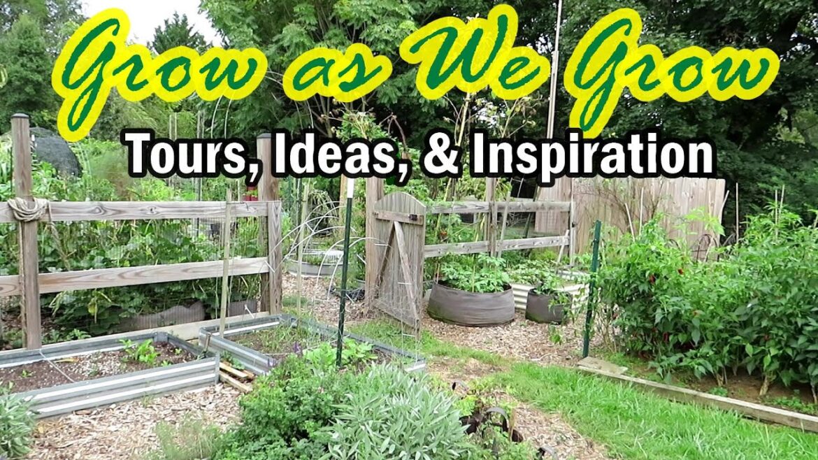Gary Pilarchik: Garden Ideas, Inspiration, Tours, & Questions: The Grow as We Grow Perk Membership Series E-9 Garden Ideas, Inspiration, Tours, & Questions: The Grow as We Grow Perk Membership Series E-9
