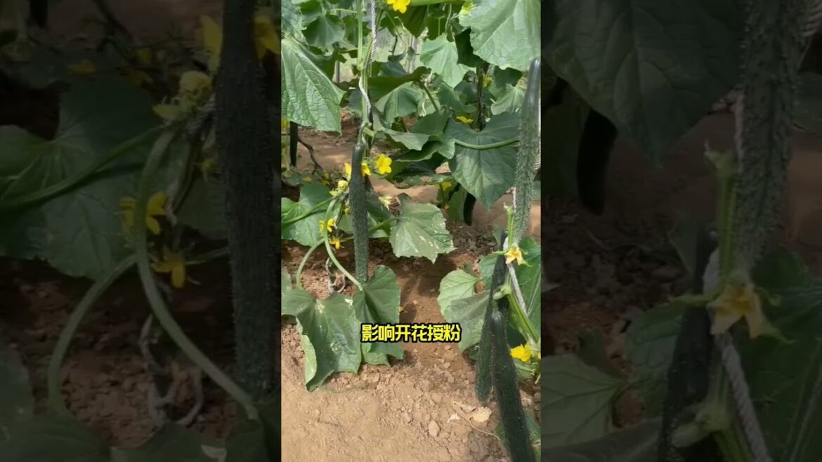 Beautiful Nature Garden Plan Natural life Style Beautiful landscapes Beautiful Nature Garden Plan Natural life Style Beautiful landscapes