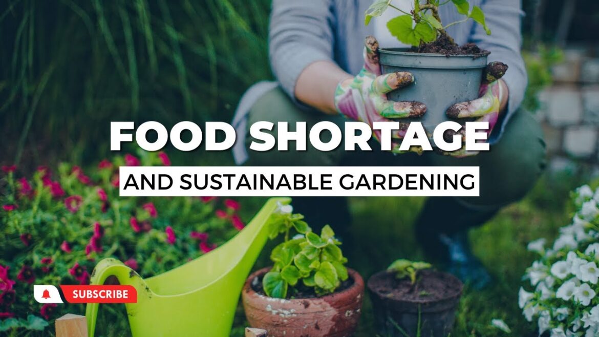 Shortage of food on planet, Sustainable Gardening Shortage of food on planet, Sustainable Gardening