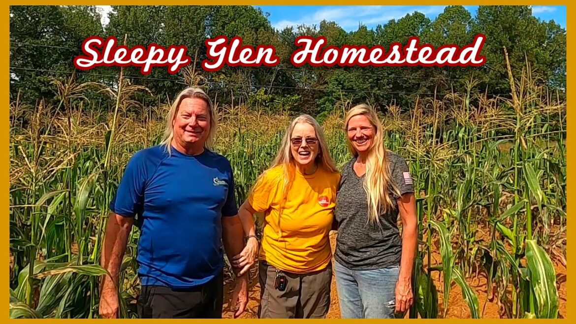 Sleepy Glen Homestead | TOUR