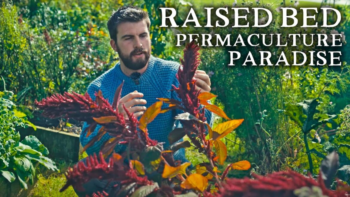 Huw Richards: Abundant, Beautiful, & LOW-EFFORT Permaculture Kitchen Garden Tour Abundant, Beautiful, & LOW-EFFORT Permaculture Kitchen Garden Tour