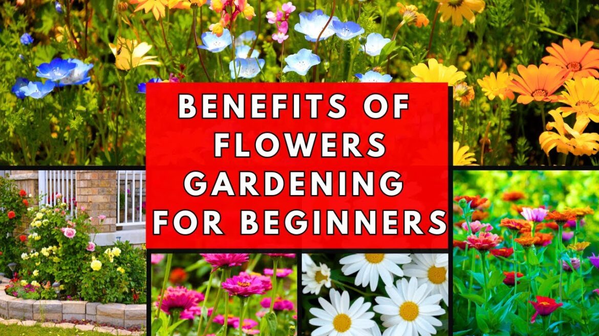 Benefits of flowers gardening for beginners – The Enchanting World of Flower Gardening Benefits of flowers gardening for beginners - The Enchanting World of Flower Gardening