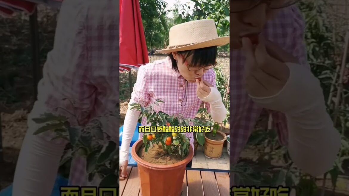 Beautiful Nature Garden Plan Natural life Style Beautiful landscapes